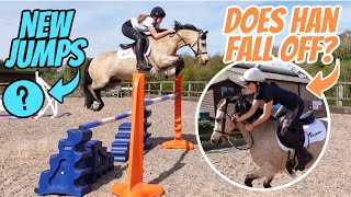 NEW spooky JUMPS amp MY FRIEND RIDES MY PONY  Showjumping barn vlog with Bear [upl. by Smaj]