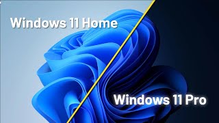 Windows 11 Home vs Pro Differences [upl. by Liryc]