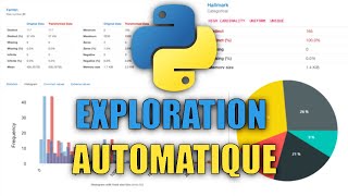 Découvrez 2 librairies Python pour générer des rapports d’analyse de données automatiques [upl. by Ellsworth]