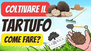 VUOI COLTIVARE il TARTUFO  Ti spieghiamo come si fa [upl. by Ahsinuq]