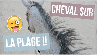 CHEVAL SUR LA PLAGE  ♡ [upl. by Jew]