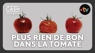 Les industriels ontils tué la tomate   Cash investigation [upl. by Lyrred]