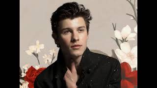 Shawn Mendes  In My Blood MP3 Free Download [upl. by Odille]