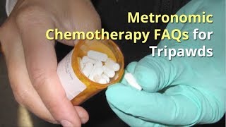 Metronomic Chemotherapy FAQS for Tripawds [upl. by Orgell973]