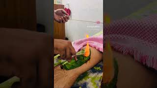 Agni Karma  Treatment for Knee pain [upl. by Ursola]