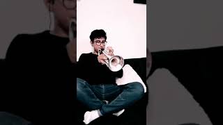 Ladyfingers By Herb Alpert  Trumpet Cover [upl. by Ailaham644]