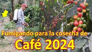 fumigando el cafetal para la COSECHA DE CAFE El Salvador finca SAN SALVADOR [upl. by Elokcin]