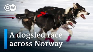 Europe’s toughest dogsled race  DW Documentary [upl. by Johannah]