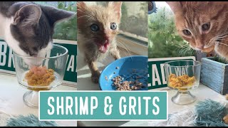 Shrimp and Grits for Lunch [upl. by Adair]