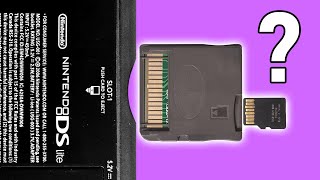 Flash Carts Are The Portal To The DS Homebrew World [upl. by Yk920]