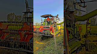 Vishal 435 combine new model ytshorts automobile harvester trendingshorts farming [upl. by Anotyal593]