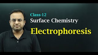 What is electrophoresis  Surface chemistry  class 12 [upl. by Ahsinav]