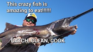 Bowfishing PADDLEFISH Catch Clean Cook on the Missouri River in Nebraska and South Dakota tacos [upl. by Enelrad948]