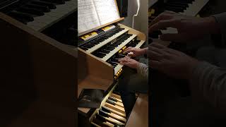 BACH  Toccata and Fugue D minor  BWV565 [upl. by Kamaria336]