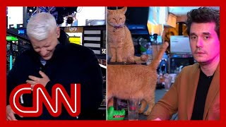 Anderson Cooper completely loses it as John Mayer dials in from a cat bar [upl. by Gilchrist]