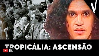 TROPICALISMO Ascensão e debates │Artes [upl. by Okiman413]