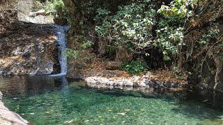 Un PARAISO PELIGROSO en la BARRANCA de Jalisco barrancadehuentitan jalisco [upl. by Nove]