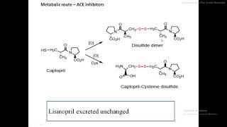 ACE Inhibitor  Dicarboxylate inhibitors AngiotensinII receptor blockers Combination Therapy [upl. by Schmitz]