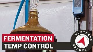 Fermentation Temperature Control for Homebrew [upl. by Wildee752]