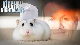 these chefs need a rat under their hat  Kitchen Nightmares [upl. by Neerroc]