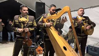 Dos Vicios Mariachi Trio Generación de Sacramento [upl. by Ecirad]