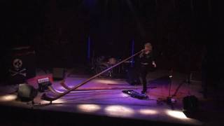 Eliana Burki  the funky Alphorn  move on up GaskesselBerne Switzerlandmp4 [upl. by Kronick911]