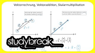 Vektorrechnung Vektoraddition Skalarmultiplikation  Wirtschaftsmathematik [upl. by Areid]