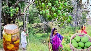 রোদে দেওয়ার ঝামেলা ছাড়া গাছ থেকে আম পেড়েই টক ঝাল মিষ্টি আচার বানালামmango pickle recipe [upl. by Neyr]