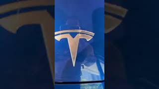 【超速報】テスラ新型モデル3パフォーマンスが日本に登場！！ テスラ モデル3 電気自動車 tesla model3 [upl. by Lamberto618]