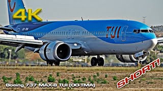 Shortest Flight 43 miles Boeing 737 Max8 TUI OOTMA [upl. by Angelia202]