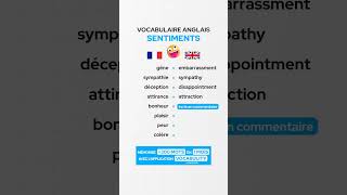 Le vocabulaire anglais des sentiments 🇬🇧 [upl. by Shum]