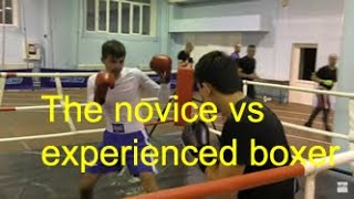 Boxing sparring the experienced boxer vs the beginner [upl. by Havard]