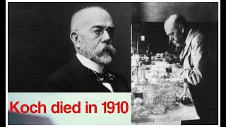 Robert Koch  Celebrating Robert Koch [upl. by Wennerholn]