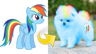 MLP Rainbow Dash as Puppy [upl. by Brietta]