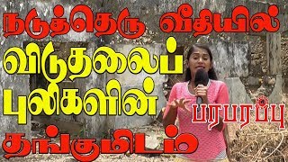 நடுத்தெரு வீதியில் விடுதலைப் புலிகளின் தங்குமிடம் Thondamannar  Paraparapu Media [upl. by Waiter]