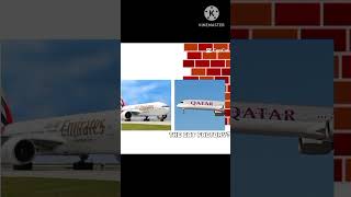 the Temu A318 factory aviation a318 airbus meme funny flipnote3d flipnotestudio cat boeing [upl. by Jaehne]