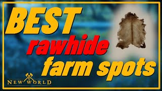 Best Farming Locations and Tips Ultimate Rawhide Farming Guide in New World 2023 [upl. by Aniad]