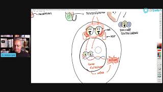 Antiandrogens  A HighLevel Overview Lecture 3 [upl. by Albin176]