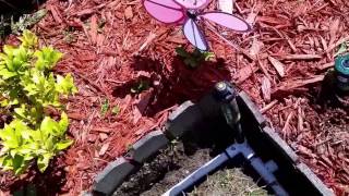 Flower bed Sprinkler irrigation with Orbit [upl. by Erskine]