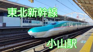 Tohoku Shinkansen passing through Oyama Station E8系E3系銀つば H5系E5系はやぶさ E6系こまち高速通過集② [upl. by Anilorak]