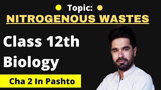 Types or forms of nitrogenous wastes  12th Biology in pashto  Home of biology [upl. by Sral]