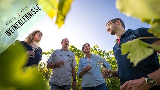 Weinprobe Weinkeller Führungen Weinwanderung  Erlebnis amp Urlaub im Weingut Walter J Oster Mosel [upl. by Oates]