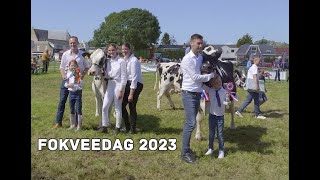 Fokveedag Hellevoetsluis 2023 [upl. by Nolrak]