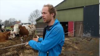 Vogelbescherming Nederland [upl. by Ginnie]