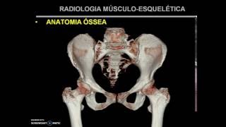 Radiologia Musculoesquelética I  Parte 01 [upl. by Aurelius]