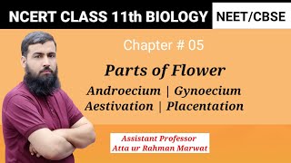 Parts of flower Calyx  Corolla  Androecium  Gynoecium Stamen carpel  placentationaestivation [upl. by Tiram]