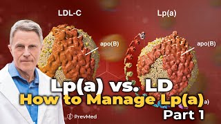 Lpa vs LDL  How to Manage Lpa Part 1 [upl. by Anierdna911]