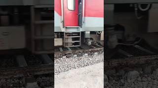 Prayagraj Express To New Delhi ❣️shorts shortvideo indianrailways speed youtubeshorts viral [upl. by Ogden]