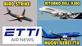 BIRD STRIKE SU 737 AMERICAN IL RITORNO DEGLI A380 ED I NUOVI AEREI ITA  ✈️🗞️ EttiAirNews [upl. by Pellet343]