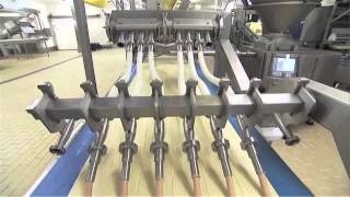 Handtmann Multi Lane Extruder [upl. by Witt]